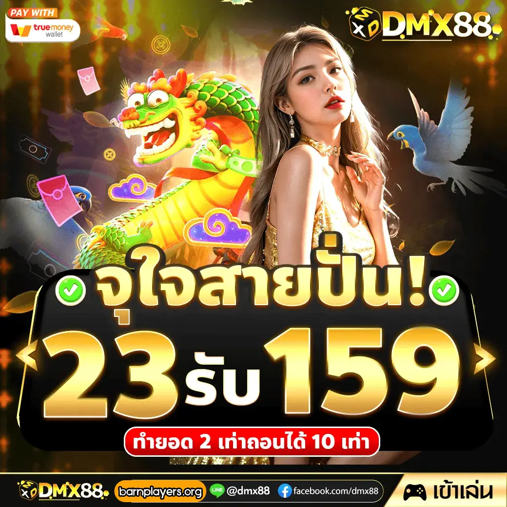 ทางเข้า dmx88